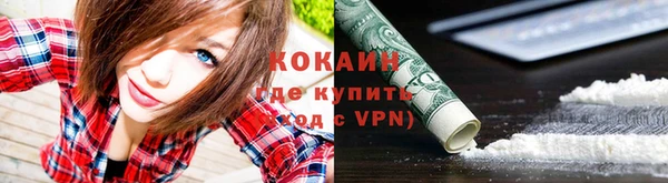 дживик Тавда