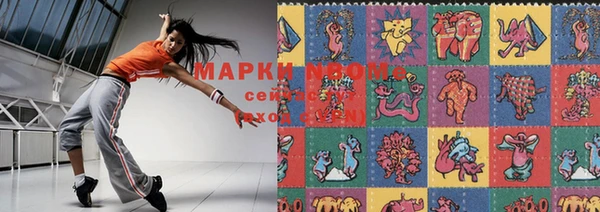 прущие грибы Сатка